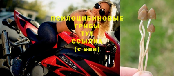 трава Иннополис