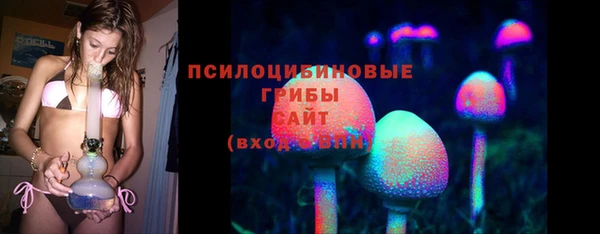трава Иннополис