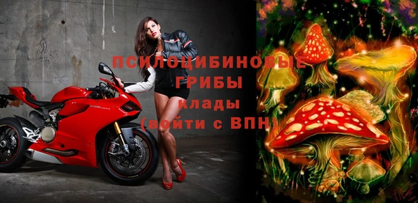 мескалин Инта