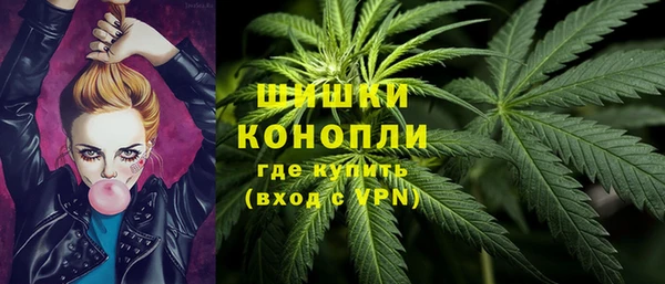 трава Иннополис