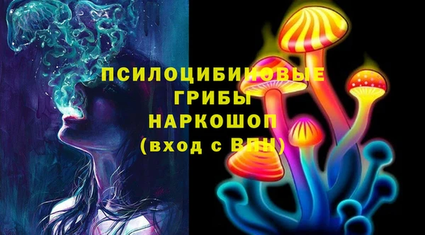 трава Иннополис