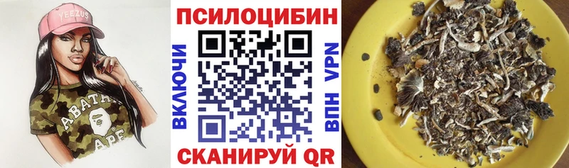 Купить закладки  Вязники  Галлюциногенные грибы мухоморы 